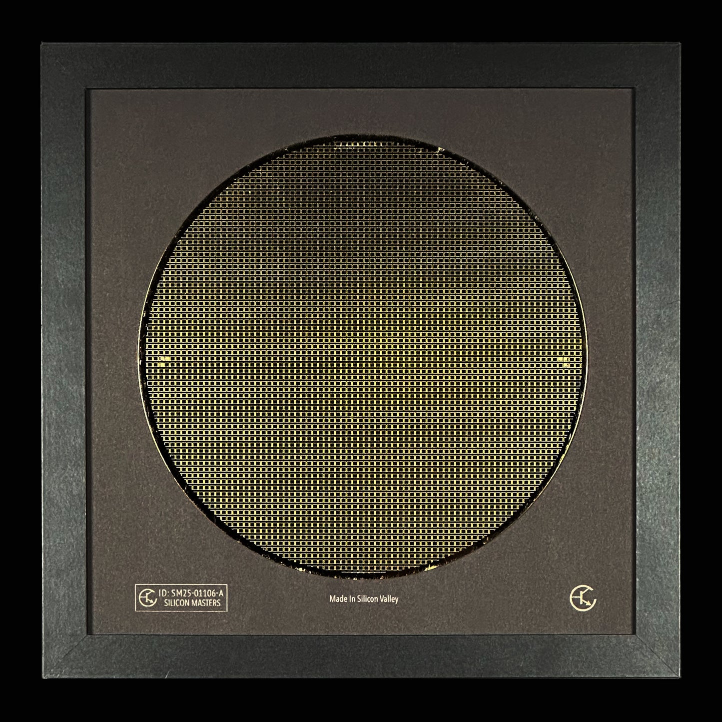 Silicon Wafer - 200 mm (8 inch) Single Collection Framed Silicon Wafer, Serial Number: SM25-01106-A