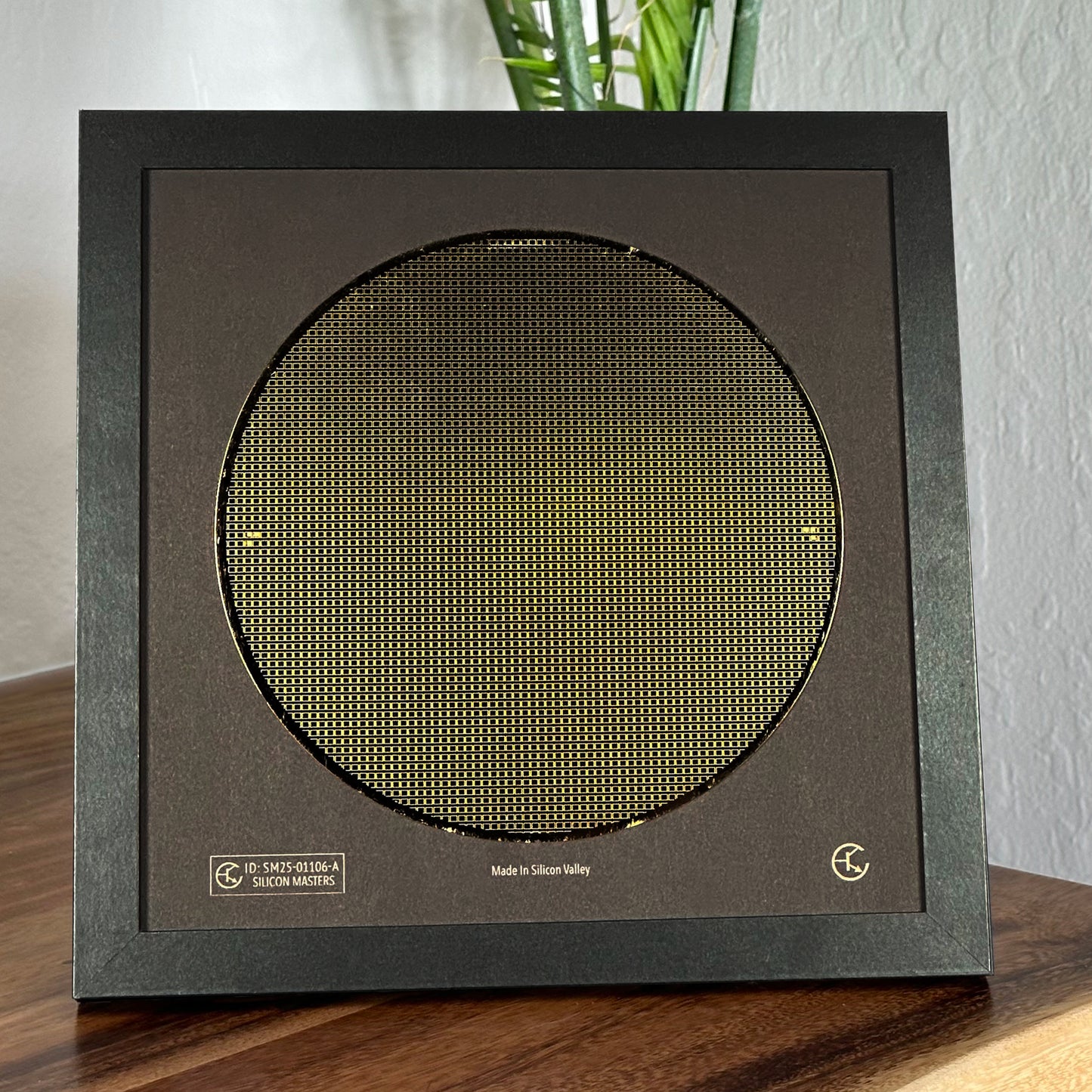 Silicon Wafer - 200 mm (8 inch) Single Collection Framed Silicon Wafer, Serial Number: SM25-01106-A