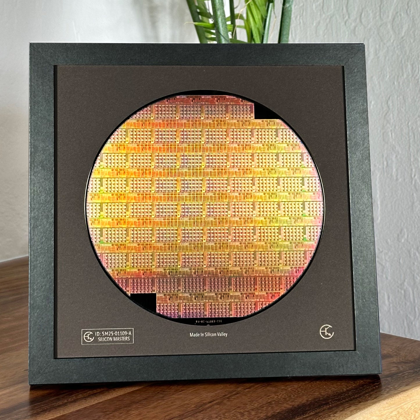 Silicon Wafer - 200 mm (8 inch) Single Collection Framed Silicon Wafer, Serial Number: SM25-01109-A