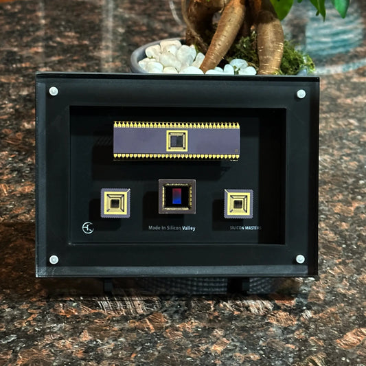 Unique IC chip and package desk collection display 3D printed case Silicon Masters