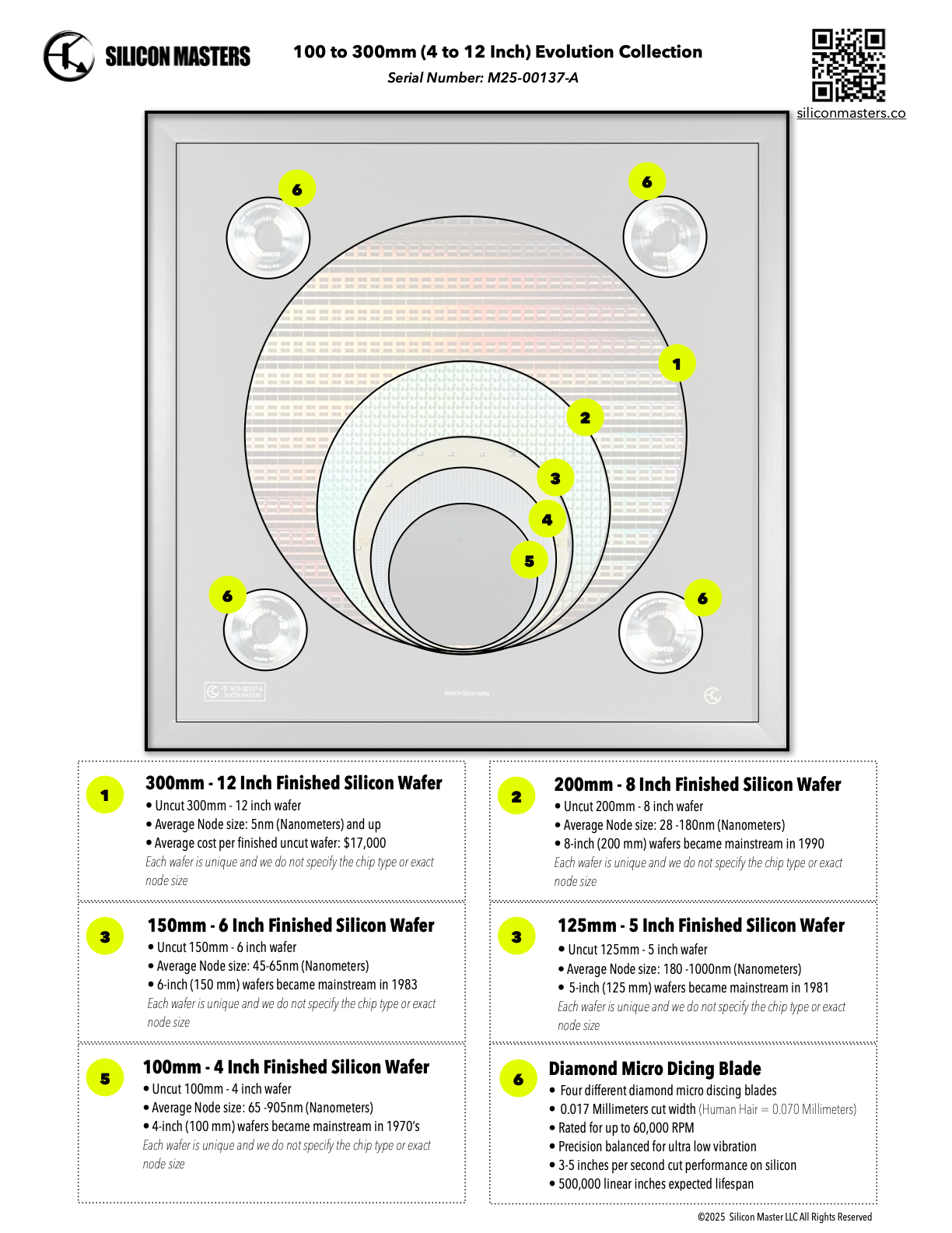 Silicon Wafer Evolution Framed Wall Art — 100mm to 300mm Progression Display