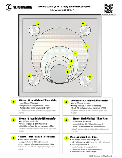 Silicon Wafer Evolution Framed Wall Art — 100mm to 300mm Progression Display