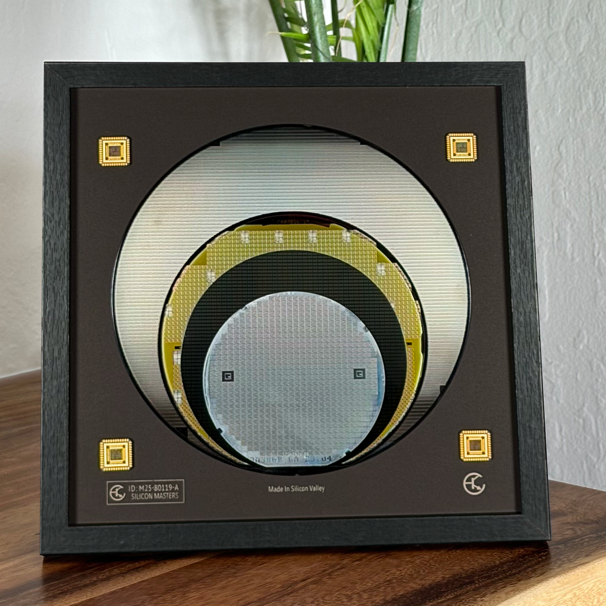 Close-up silicon wafer evolution 100-200mm framed progression display