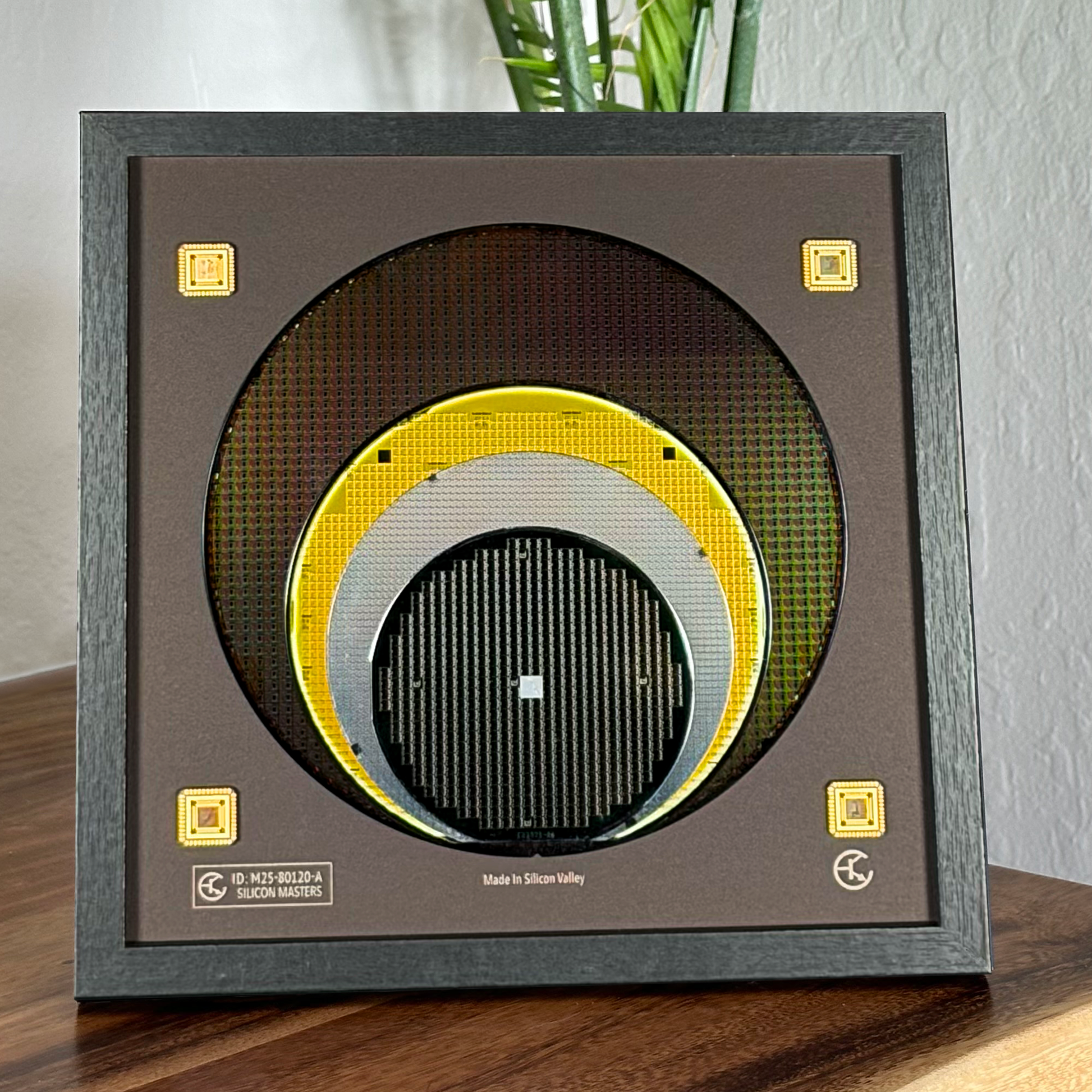 Close-up silicon wafer evolution 100-200mm progression framed semiconductor art