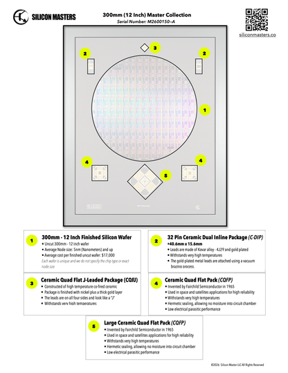 300mm (12 Inch) Silicon Wafer - Master Collection with IC packages