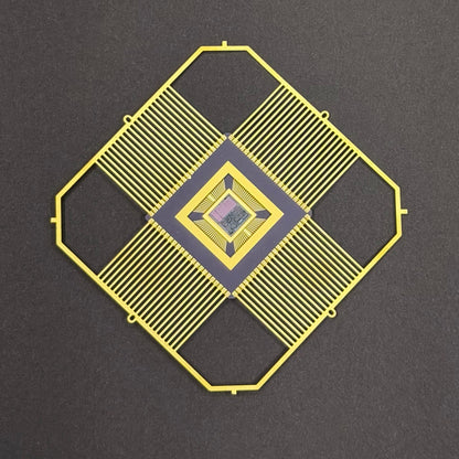 300mm (12 Inch) Silicon Wafer - Master Collection with IC packages