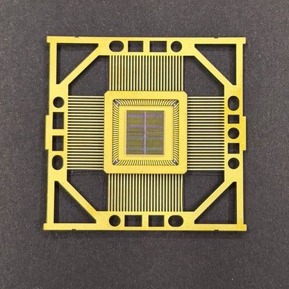 300mm (12 Inch) Silicon Wafer - Master Collection with IC packages