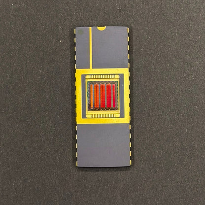 300mm (12 Inch) Silicon Wafer - Master Collection with IC packages