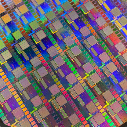 300mm (12 Inch) Silicon Wafer - Master Collection with IC packages