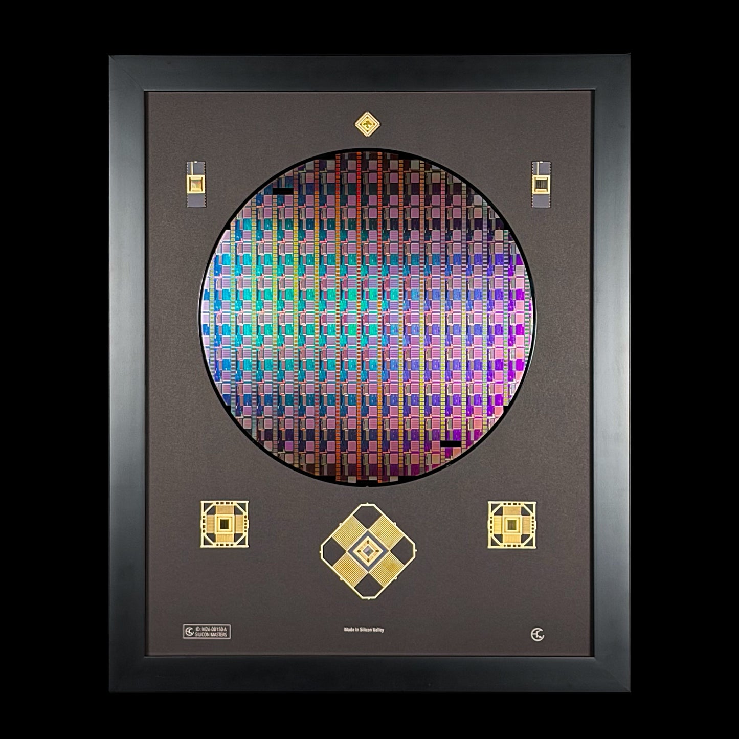 300mm (12 Inch) Silicon Wafer - Master Collection with IC packages
