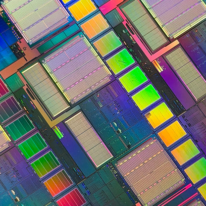 300mm (12 Inch) Silicon Wafer - Master Collection with IC packages