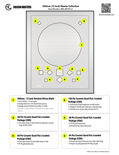 300mm (12 Inch) Silicon Wafer - Master Collection with IC packages (Copy)