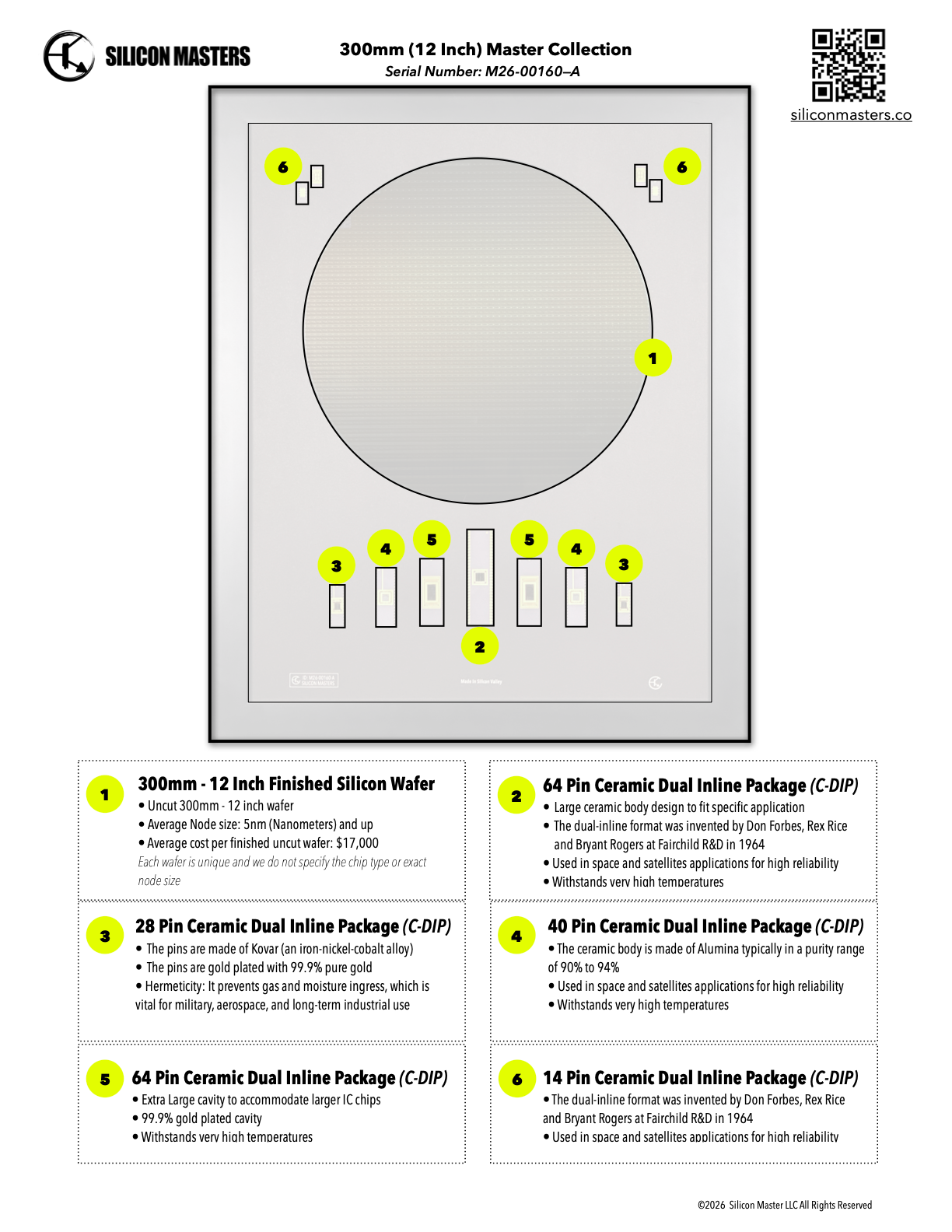 300mm (12 Inch) Silicon Wafer - Master Collection with IC packages