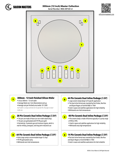 300mm (12 Inch) Silicon Wafer - Master Collection with IC packages