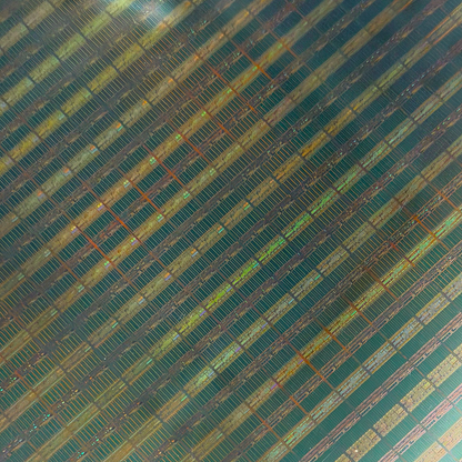 300mm (12 Inch) Silicon Wafer - Master Collection with IC packages