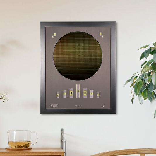 300mm (12 Inch) Silicon Wafer - Master Collection with IC packages