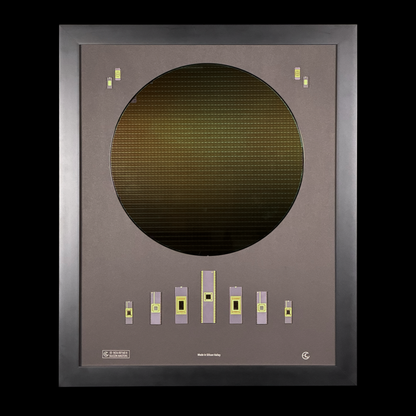 300mm (12 Inch) Silicon Wafer - Master Collection with IC packages