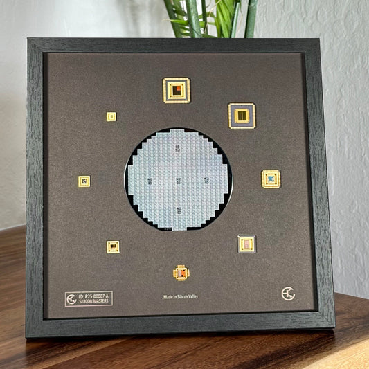 Framed Silicon Wafer: 100mm Master Collection with Gold-Plated Chip packages