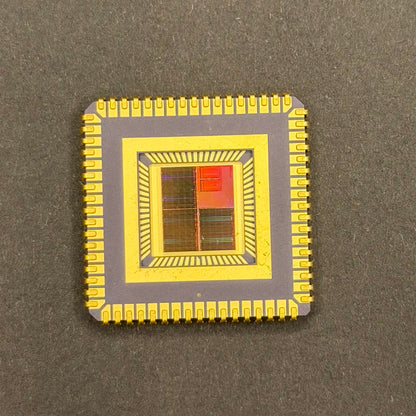 Framed Silicon Wafer: 100mm Master Collection with Gold-Plated Chip packages