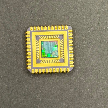 Framed Silicon Wafer: 100mm Master Collection with Gold-Plated Chip packages