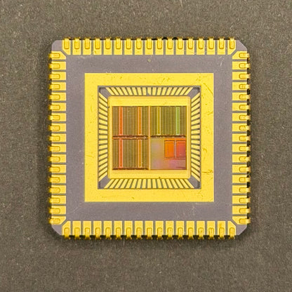 Framed Silicon Wafer: 100mm Master Collection with Gold-Plated Chip packages