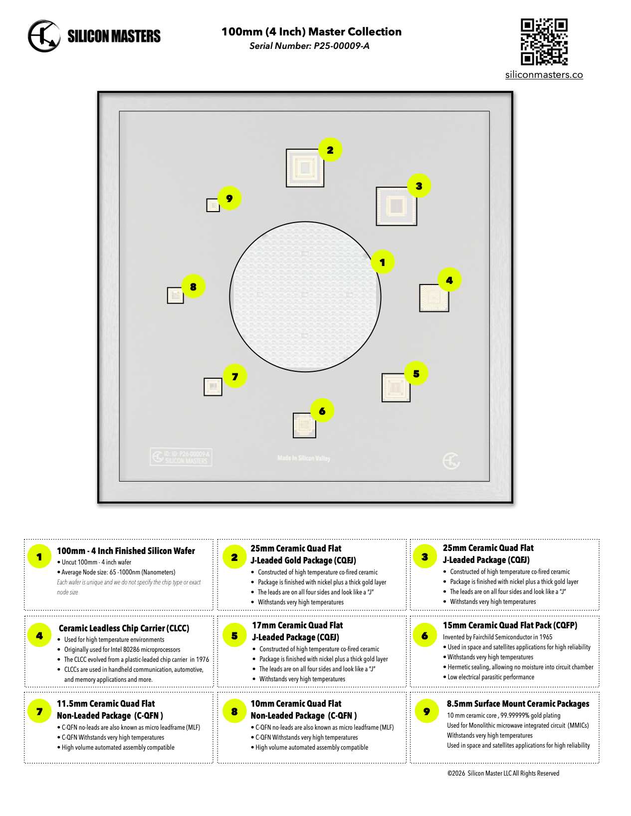 100mm Silicon Wafer Framed Wall Art — Master Collection with Gold-Plated IC Chip Packages, 4 Inch