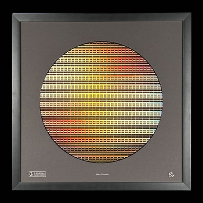 Silicon Wafer - 300 mm (12 inch) Single Collection Framed Silicon Wafer, Serial Number: S25-00106-A