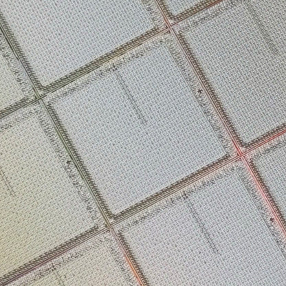 Framed 300mm Silicon Wafer: Rare Tech Display