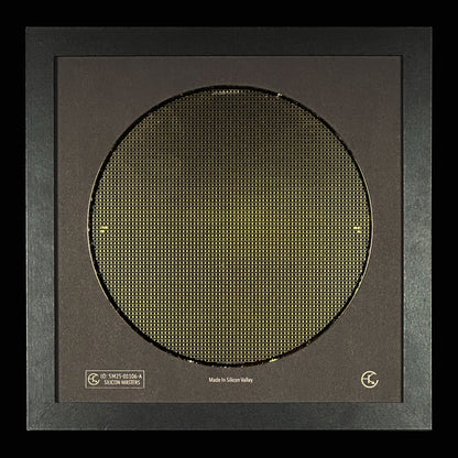 Silicon Wafer - 200 mm (8 inch) Single Collection Framed Silicon Wafer, Serial Number: SM25-01106-A