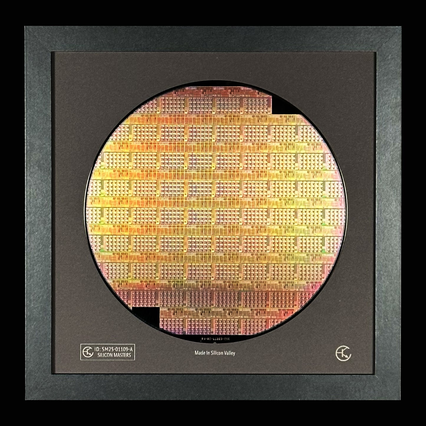 Silicon Wafer - 200 mm (8 inch) Single Collection Framed Silicon Wafer, Serial Number: SM25-01109-A