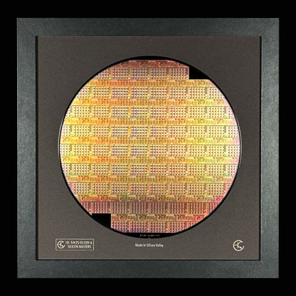 Silicon Wafer - 200 mm (8 inch) Single Collection Framed Silicon Wafer, Serial Number: SM25-01109-A