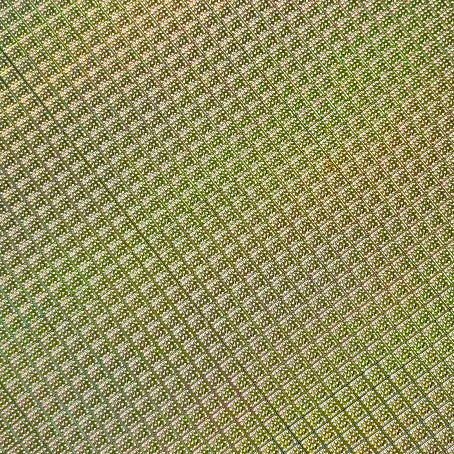 200mm silicon wafer framed display additional view Silicon Masters