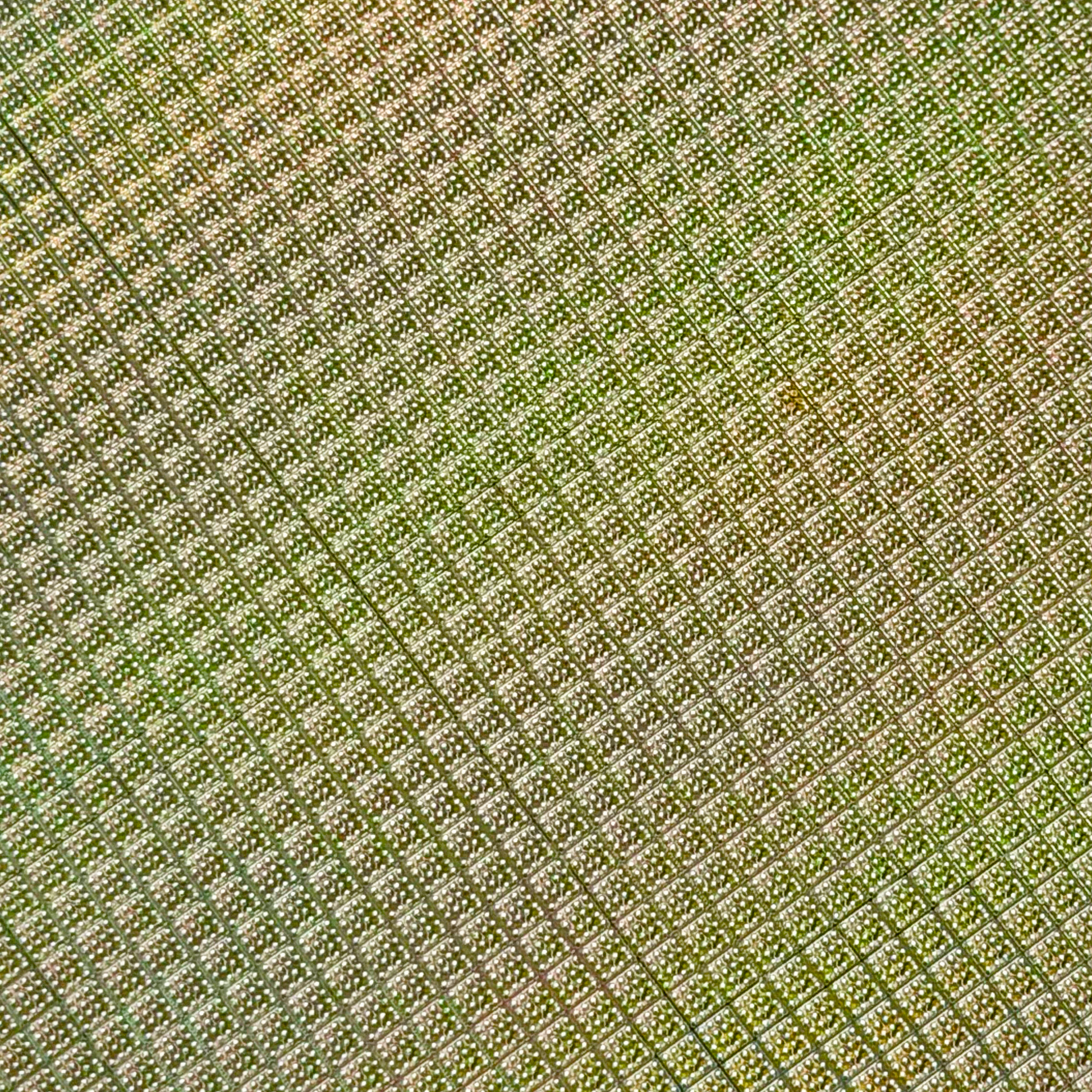 200mm silicon wafer framed display additional view Silicon Masters