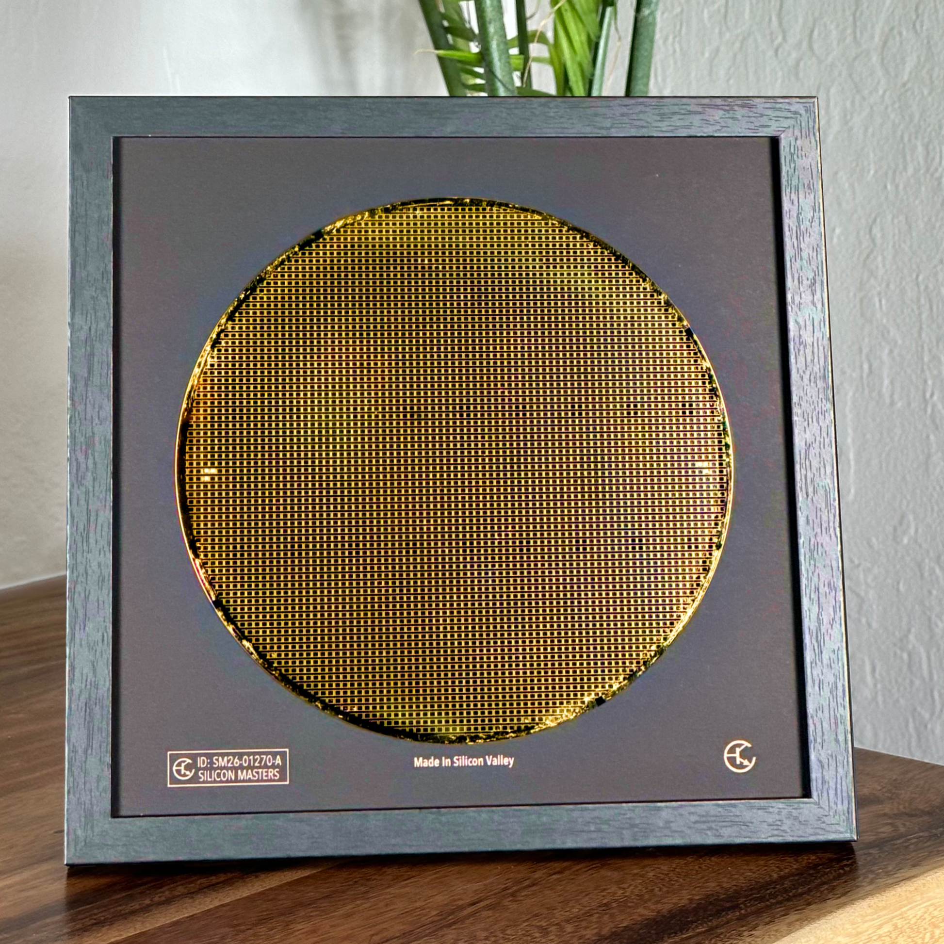 Framed 200mm silicon wafer in hand authentic semiconductor display Silicon Masters