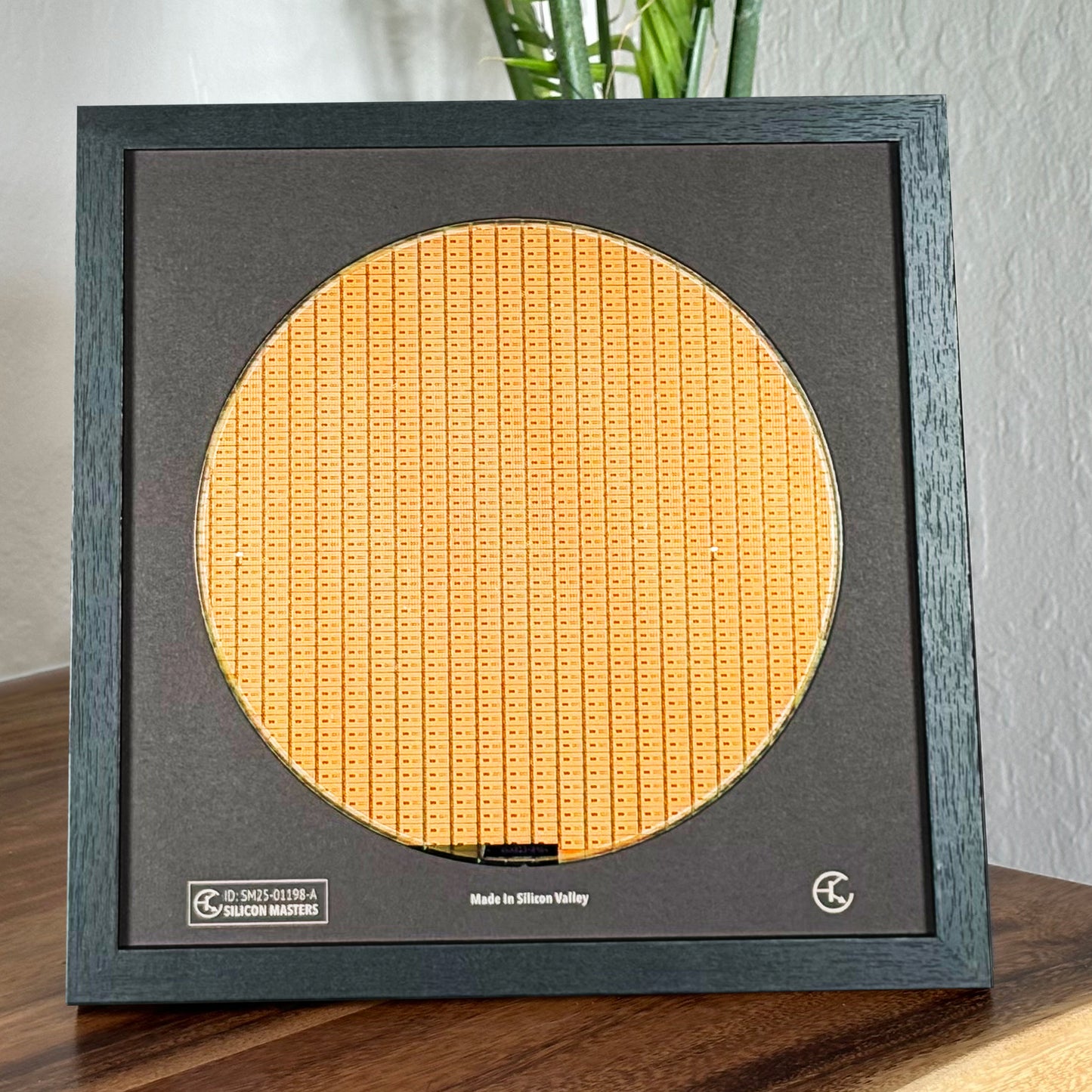 Flip Chip Silicon Wafer - 200 mm (8 inch) Single Collection Framed Silicon Wafer