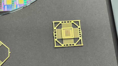 300mm (12 Inch) Silicon Wafer - Master Collection with IC packages