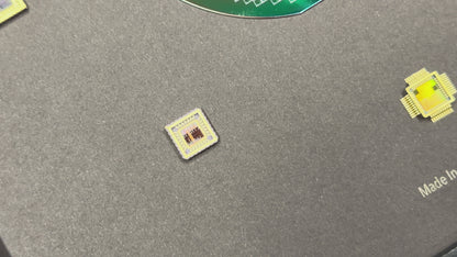 Framed Silicon Wafer: 100mm Master Collection with Gold-Plated Chip packages