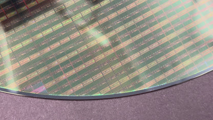 300mm (12 Inch) Silicon Wafer - Master Collection with IC packages